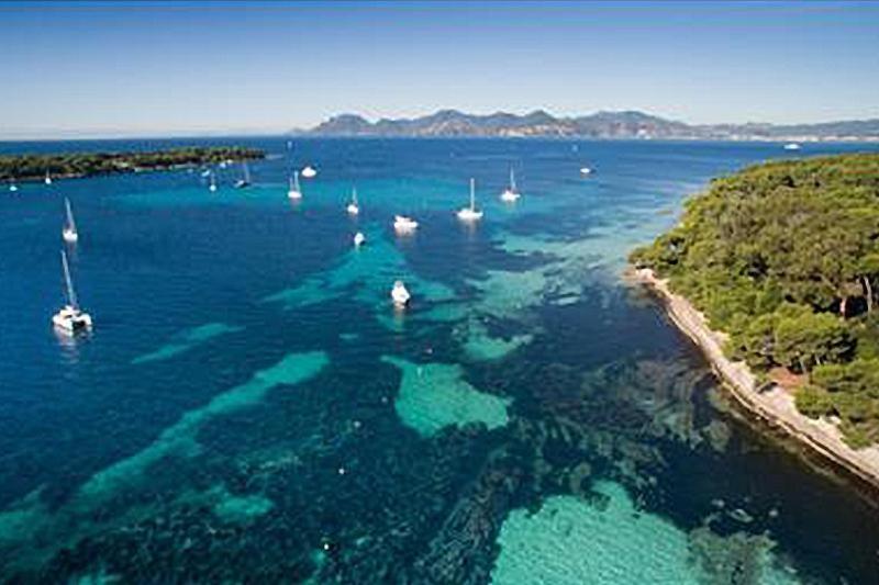 Romantic And New Apartment In The Famous Rue Meynadier In The Supercentre Of Cannes Eksteriør billede